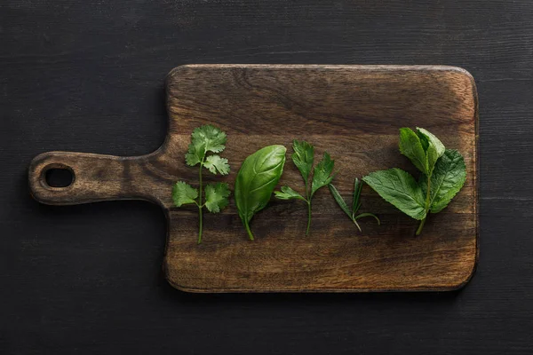 Vue du dessus de la planche à découper en bois brun avec du persil, du basilic, de la coriandre et des feuilles de menthe poivrée sur une surface sombre — Photo de stock