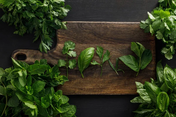 Vista superior da placa de corte de madeira marrom com salsa, manjericão, coentro e folhas de hortelã-pimenta perto de feixes de vegetação na superfície escura — Fotografia de Stock