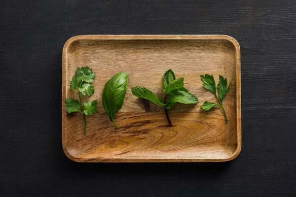 Top view of brown wooden dish with parsley, basil, cilantro and peppermint leaves on dark surface — Stock Photo