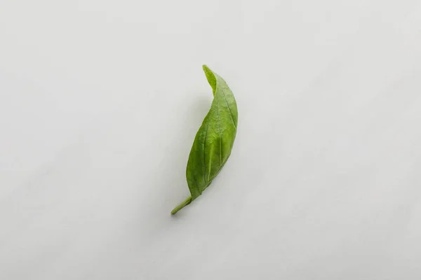 Vue du dessus de la feuille de basilic frais sur fond blanc — Photo de stock