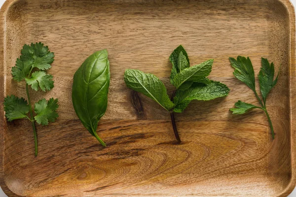 Vue du dessus du plat en bois brun avec du persil, du basilic, de la coriandre et des feuilles de menthe poivrée — Photo de stock