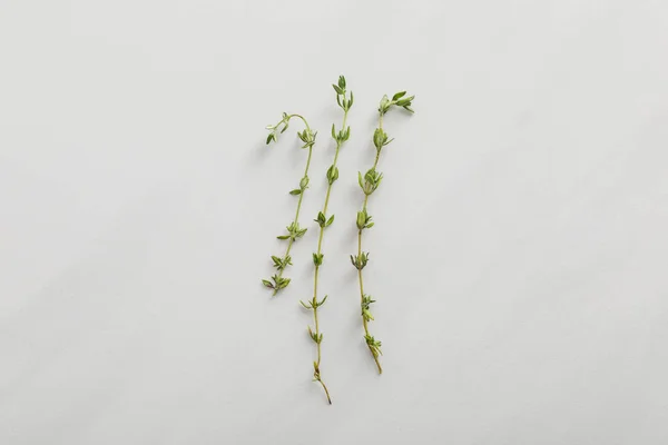 Top view of fresh thyme twigs on white background — Stock Photo