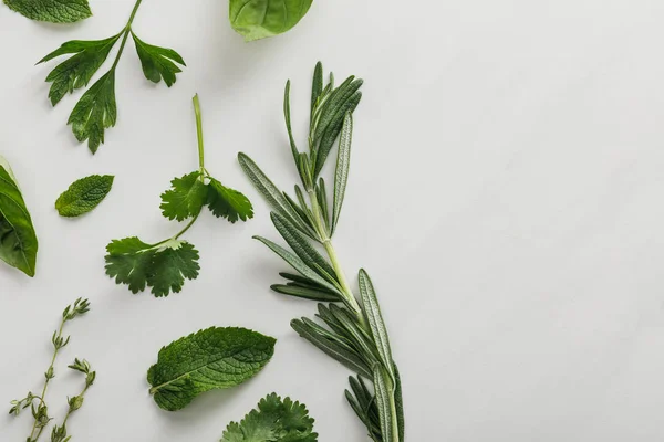 Vista superior de las ramitas de albahaca, cilantro, perejil, romero y tomillo sobre fondo blanco - foto de stock