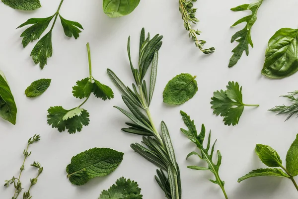 Top view of arugula, basil, cilantro, dill, parsley, rosemary and thyme sprigs on white background — Stock Photo