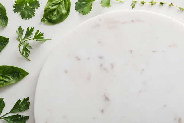 Top view of round empty marble surface near basil, peppermint, cilantro and parsley leaves on white background — Stock Photo