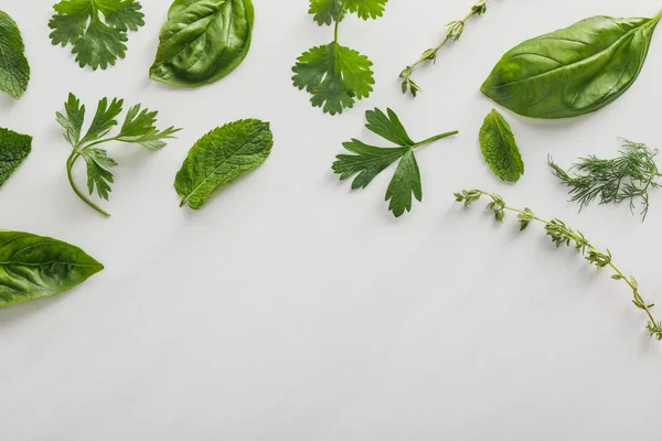 Von oben mit Basilikum, Dill, Pfefferminze, Koriander, Petersilie und Thymianzweigen auf weißem Hintergrund — Stockfoto