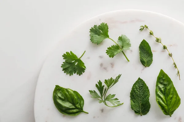 Top view of round marble surface with thyme, basil, peppermint, cilantro and parsley leaves on white background — Stock Photo