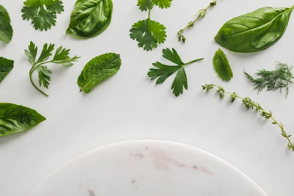 Top view of round marble surface near thyme, basil, dill, peppermint, cilantro and parsley leaves on white background — Stock Photo