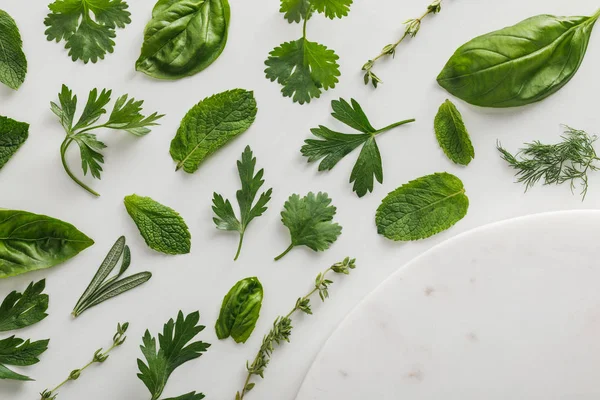 Draufsicht auf runde Marmoroberfläche in der Nähe von Thymian, Rosmarin, Basilikum, Dill, Pfefferminze, Koriander und Petersilienblättern auf weißem Hintergrund — Stockfoto