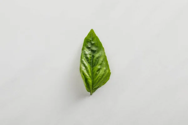 Vue du dessus de la feuille de basilic vert frais sur fond blanc — Photo de stock