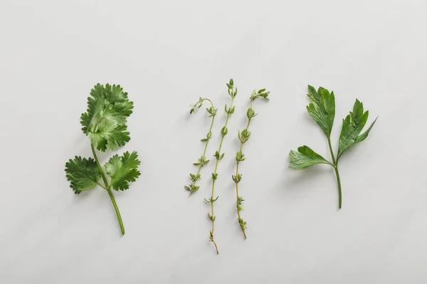 Top view of fresh cilantro, parsley and thyme twigs on white background — Stock Photo