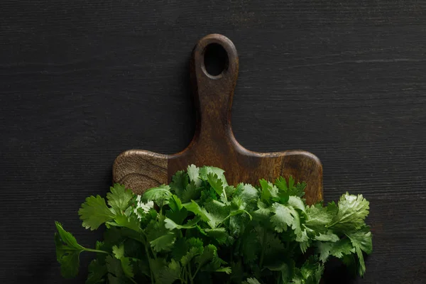 Vue du dessus de la planche à découper en bois brun avec des faisceaux de coriandre sur une surface sombre — Photo de stock