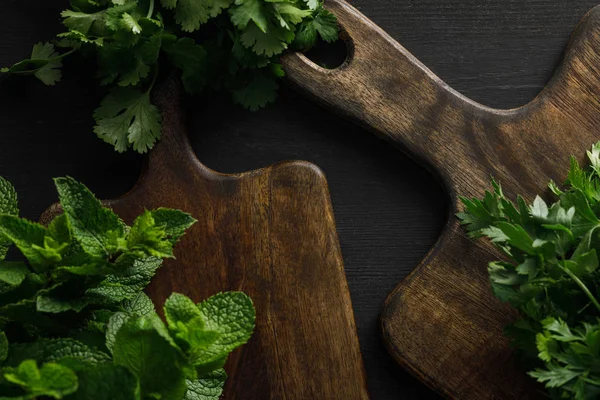 Top view of brown wooden cutting boards with parsley, cilantro and peppermint bundles on dark surface — Stock Photo