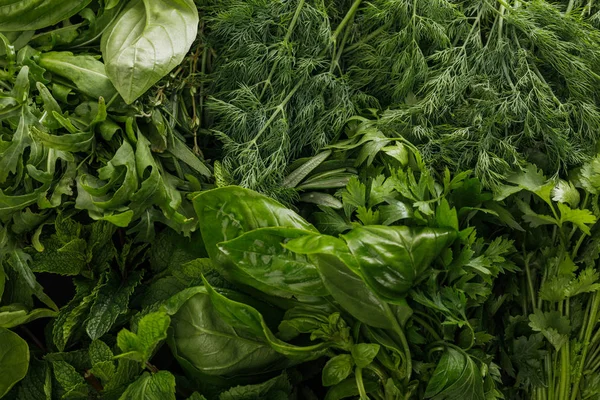 Vista de cerca de bultos de rúcula verde fresca, albahaca, cilantro, eneldo, perejil y menta - foto de stock