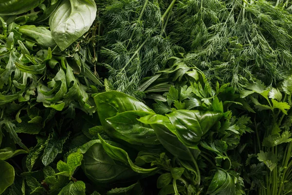 Close up view of fresh arugula, basil, cilantro, dill, parsley and peppermint bundles — Stock Photo