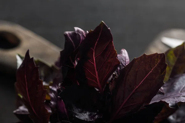 Vue rapprochée des feuilles fraîches de basilic violet près de la planche à découper en bois marron sur fond sombre — Photo de stock