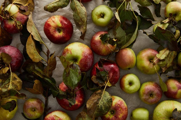 Vue de dessus des pommes mûres avec branche et feuilles — Photo de stock