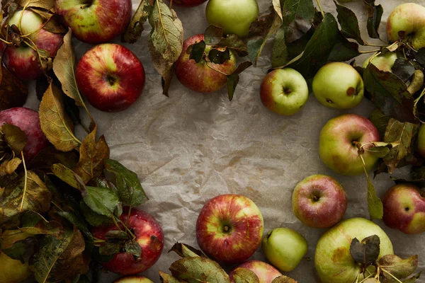 Vista superior de maçãs maduras com ramo e folhas com espaço de cópia — Fotografia de Stock