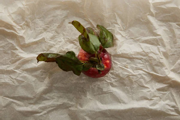 Top view of apple with leaves on parchment paper with copy space — Stock Photo