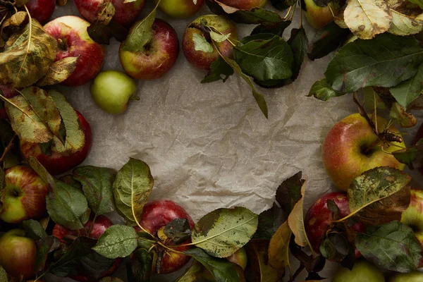 Vue du dessus du papier parchemin avec des pommes et des feuilles fraîches — Photo de stock