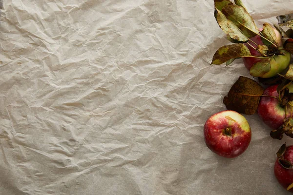 Vista dall'alto della carta pergamena con mele fresche e foglie con spazio per copiare — Foto stock