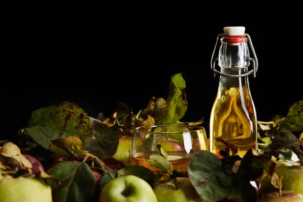 Glass and bottle of fresh cider near ripe apples isolated on black — Stock Photo