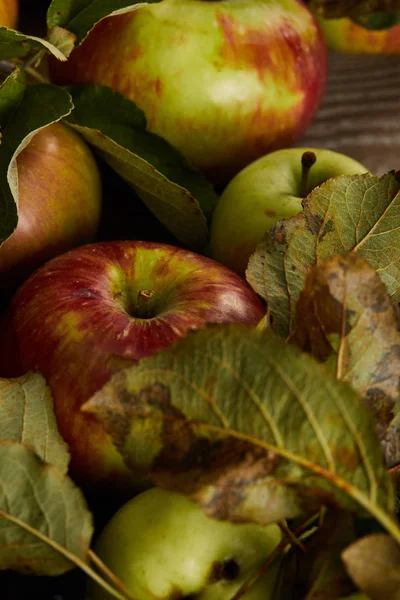 Close up view of fresh ripe apples with leaves on wooden surface — Stock Photo