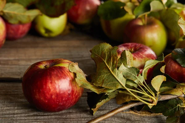 Superficie de madera con manzanas y hojas - foto de stock