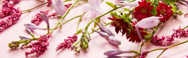 Панорамный снимок свежих полевых цветов на розовом фоне — стоковое фото