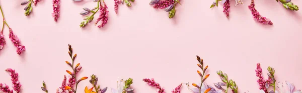 Plano panorámico de flores silvestres frescas sobre fondo rosa con espacio de copia - foto de stock