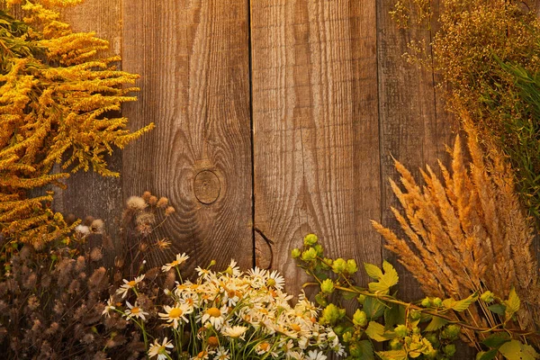 Вид зверху на пучки диких квітів і трав на дерев'яній поверхні — стокове фото