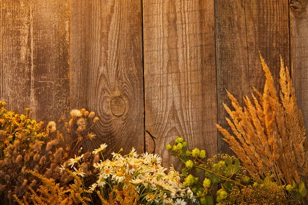 Vista dall'alto di fiori di campo ed erbe sulla superficie di legno — Foto stock