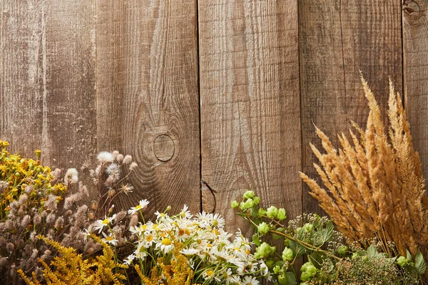 Vue de dessus des fleurs sauvages et des herbes sur la surface en bois avec l'espace de copie — Photo de stock