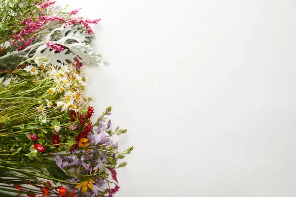 Vue de dessus des fleurs sauvages et des herbes sur fond blanc — Photo de stock