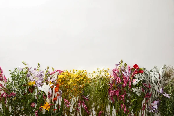Vue du dessus des fleurs sauvages sur fond blanc avec espace de copie — Photo de stock