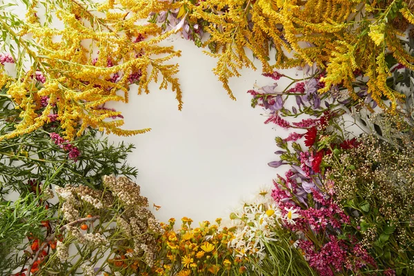 Vista superior de racimos de flores silvestres sobre fondo blanco con espacio de copia - foto de stock