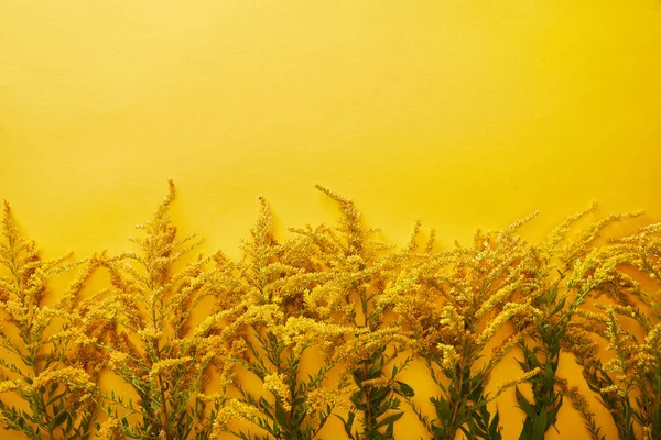 Vista dall'alto di grappoli di verghe d'oro su sfondo giallo con spazio di copia — Foto stock