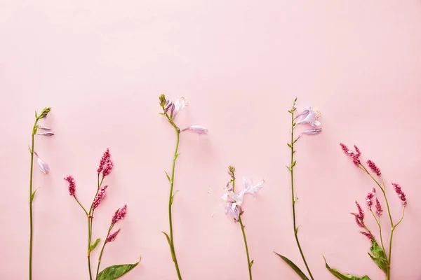 Vista superior de campanas azules y flores silvestres sobre fondo rosa con espacio para copiar - foto de stock