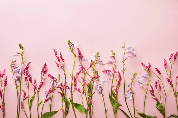 Vista superior de raminhos de flores silvestres em fundo rosa com espaço de cópia — Fotografia de Stock