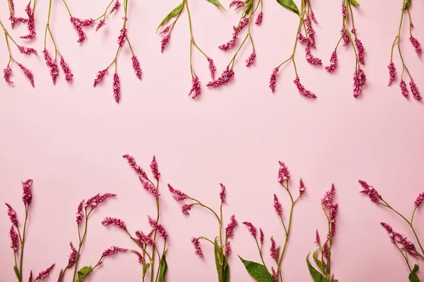 Vista superior de raminhos de flores silvestres no fundo rosa com espaço de cópia — Fotografia de Stock