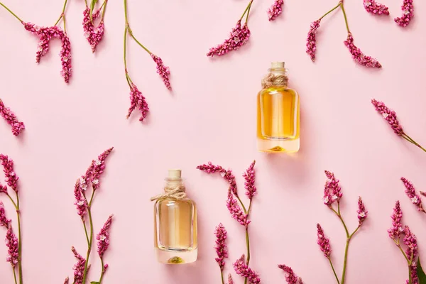 Top view of filled bottles near wildflowers on pink background with copy space — Stock Photo