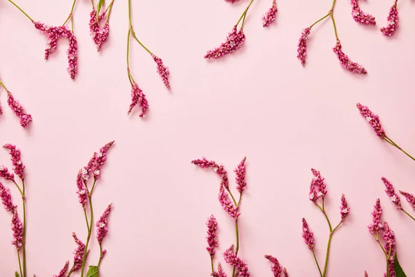 Draufsicht auf zarte Wildblumen auf rosa Hintergrund mit Kopierraum — Stockfoto