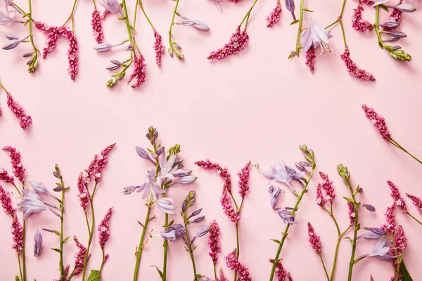 Вид зверху на різноманітні дикі квіти на рожевому фоні — стокове фото