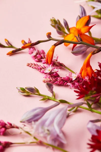 Close up vista de flores silvestres frescas no fundo rosa — Fotografia de Stock