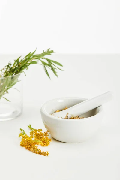 Rama de varilla de oro cerca de mortero y pestle con mezcla de hierbas y y vidrio con plantas frescas sobre fondo blanco - foto de stock