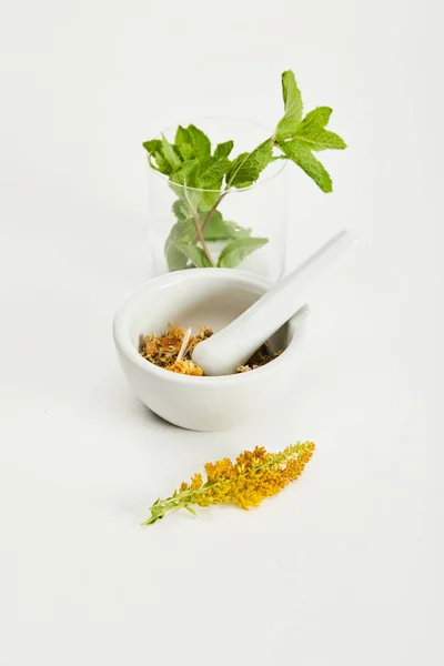 Mortar and pestle with herbal mix near goldenrod twig and glass with fresh mint on white background — Stock Photo