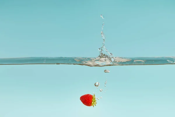 Fresa madura cayendo en el agua con salpicadura sobre fondo azul - foto de stock