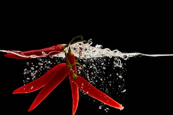 Chiles rojos maduros que caen en el agua con salpicaduras aisladas en negro - foto de stock