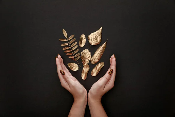 Ausgeschnittene Ansicht weiblicher Hände in der Nähe von goldenem Ahornblatt auf schwarzem Hintergrund — Stockfoto