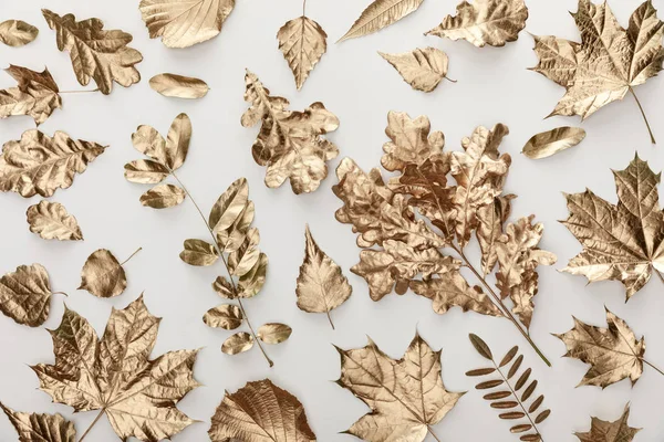 Top view of golden painted foliage on white background — Stock Photo